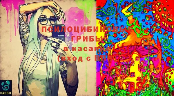 мдпв Богородск