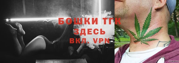 мдпв Богородск