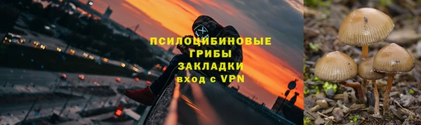 альфа пвп Богородицк