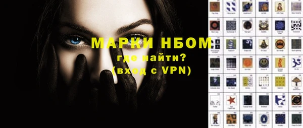 ECSTASY Богданович