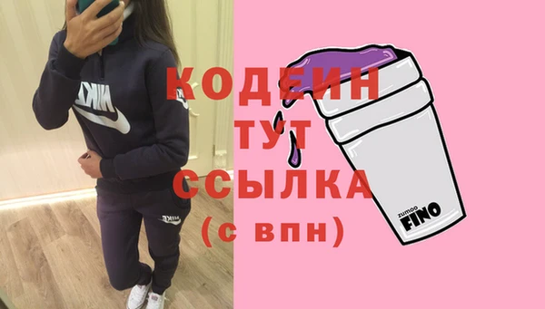 ECSTASY Богданович
