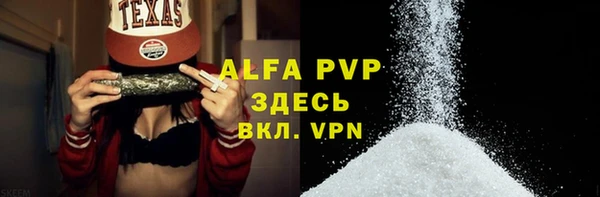 ECSTASY Богданович