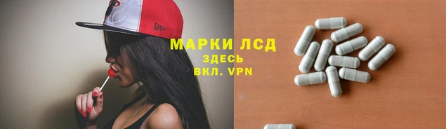 ECSTASY Богданович