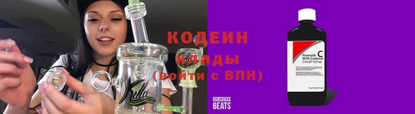 мдпв Богородск