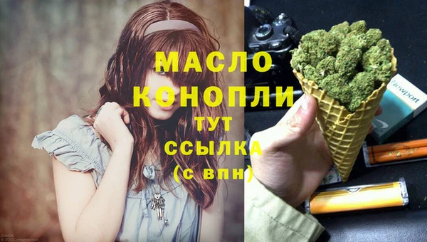 ECSTASY Богданович