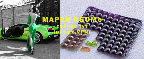 ECSTASY Богданович