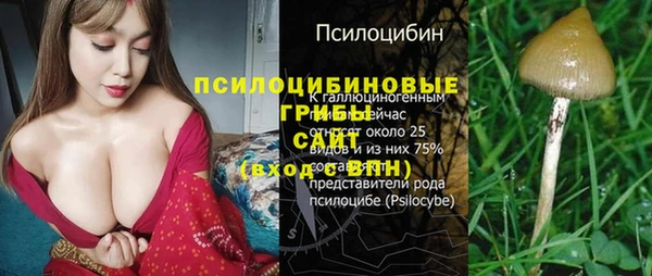 альфа пвп Богородицк