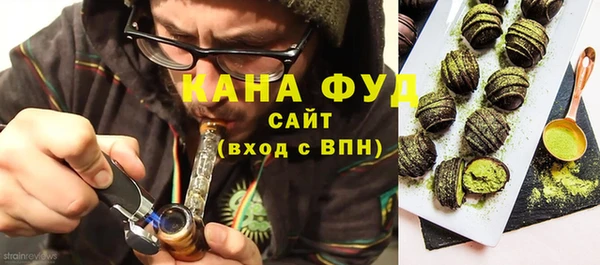 мдпв Богородск