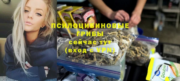 ECSTASY Богданович
