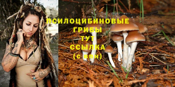 альфа пвп Богородицк