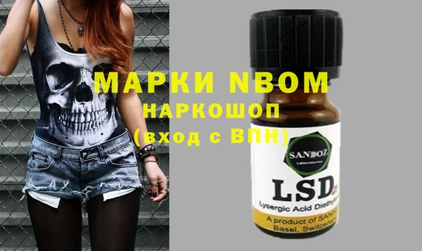 ECSTASY Богданович