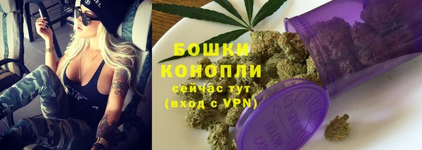 мдпв Богородск