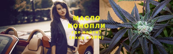 ECSTASY Богданович